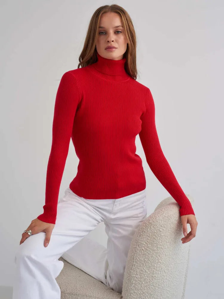 SilkRib Essential Turtleneck