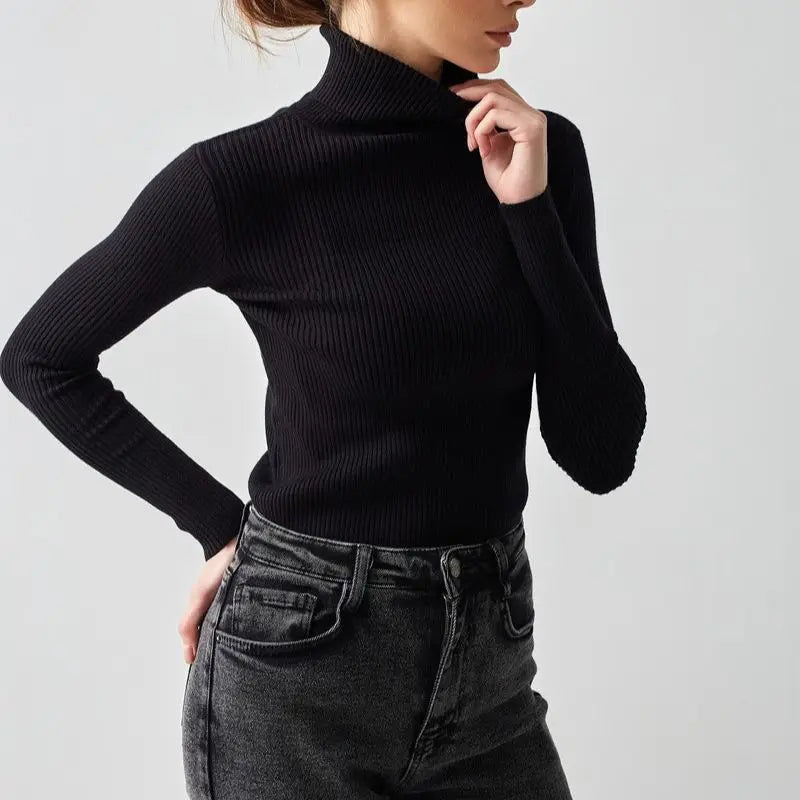 SilkRib Essential Turtleneck